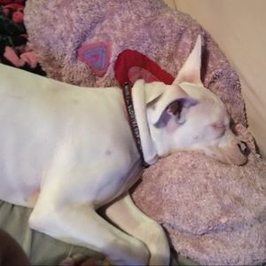 Meet your Posher, April